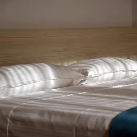 Ozzy אפורי נורד